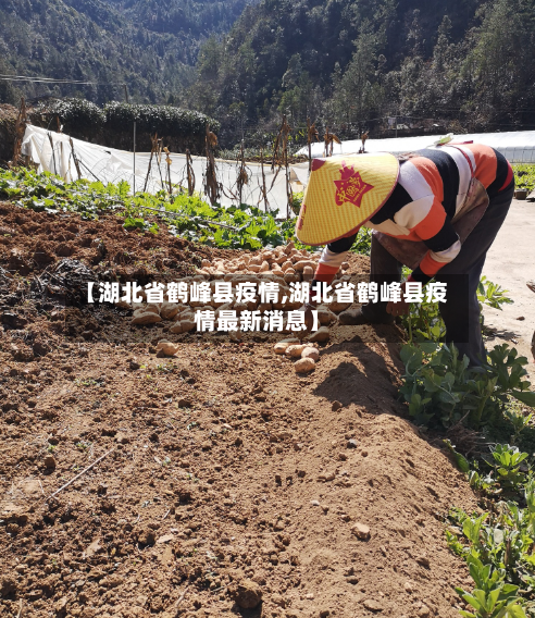 【湖北省鹤峰县疫情,湖北省鹤峰县疫情最新消息】-第2张图片