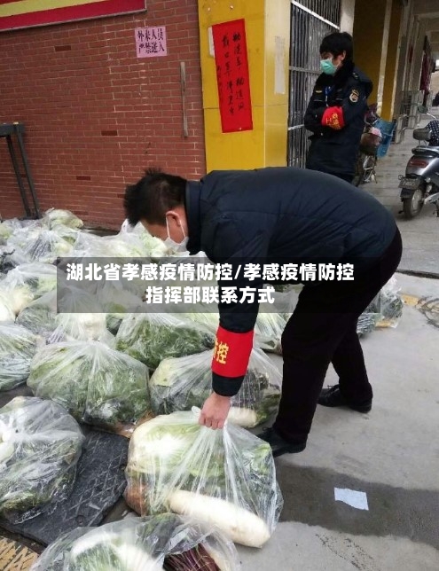 湖北省孝感疫情防控/孝感疫情防控指挥部联系方式-第2张图片