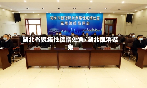 湖北省聚集性疫情处置/湖北取消聚集-第2张图片