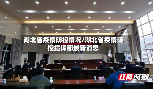 湖北省疫情防控情况/湖北省疫情防控指挥部最新消息-第1张图片