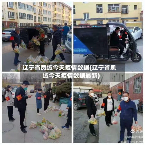 辽宁省凤城今天疫情数据(辽宁省凤城今天疫情数据最新)-第1张图片