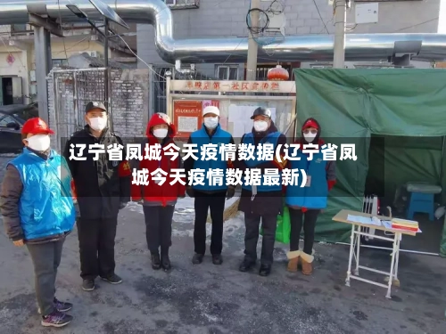 辽宁省凤城今天疫情数据(辽宁省凤城今天疫情数据最新)-第2张图片