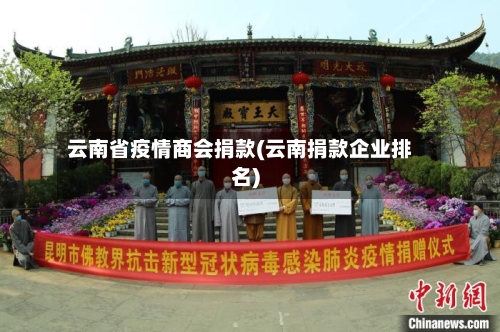 云南省疫情商会捐款(云南捐款企业排名)-第2张图片