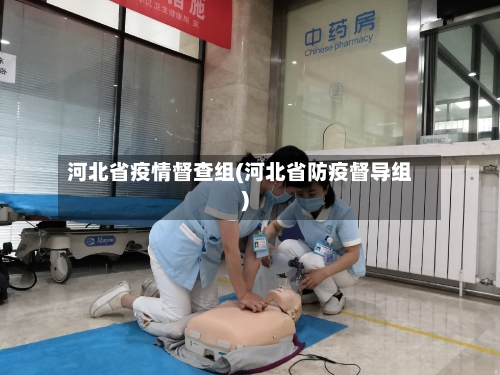 河北省疫情督查组(河北省防疫督导组)-第2张图片