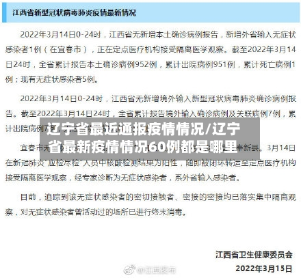 辽宁省最近通报疫情情况/辽宁省最新疫情情况60例都是哪里-第3张图片