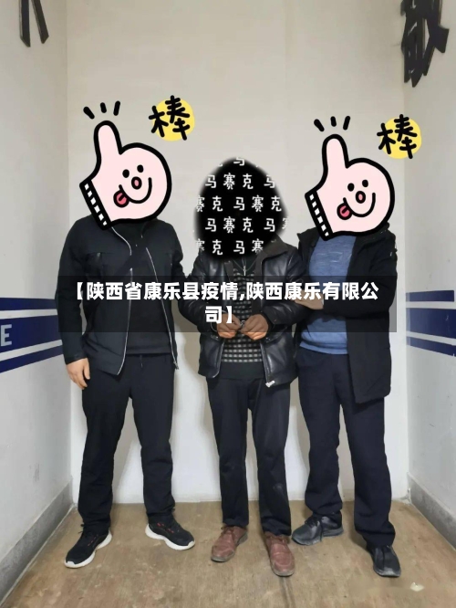 【陕西省康乐县疫情,陕西康乐有限公司】-第1张图片