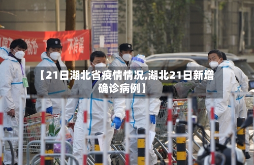 【21日湖北省疫情情况,湖北21日新增确诊病例】-第1张图片