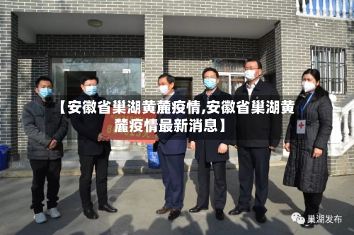 【安徽省巢湖黄麓疫情,安徽省巢湖黄麓疫情最新消息】-第2张图片