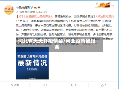 河北省天天开疫情会/河北疫情通报会-第2张图片