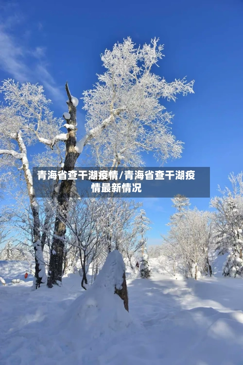 青海省查干湖疫情/青海省查干湖疫情最新情况-第2张图片