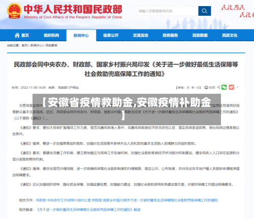 【安徽省疫情救助金,安徽疫情补助金】-第1张图片