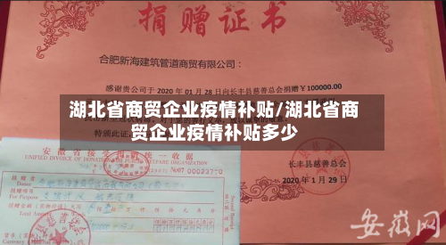湖北省商贸企业疫情补贴/湖北省商贸企业疫情补贴多少-第3张图片