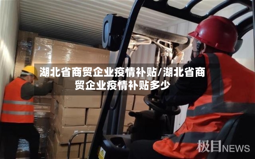 湖北省商贸企业疫情补贴/湖北省商贸企业疫情补贴多少-第1张图片
