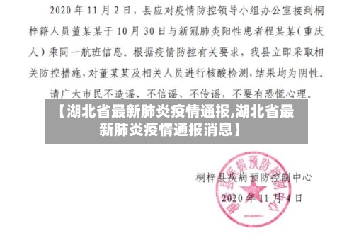 【湖北省最新肺炎疫情通报,湖北省最新肺炎疫情通报消息】-第2张图片
