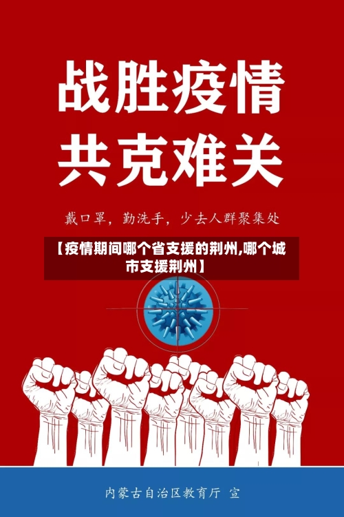 【疫情期间哪个省支援的荆州,哪个城市支援荆州】-第3张图片