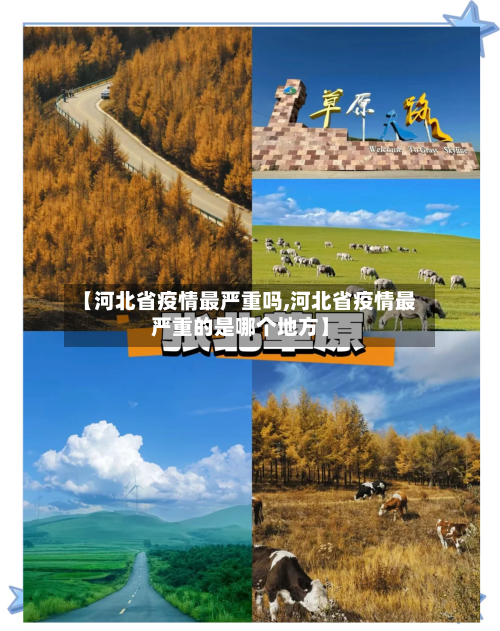 【河北省疫情最严重吗,河北省疫情最严重的是哪个地方】-第1张图片