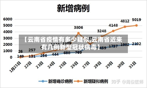 【云南省疫情有多少疑似,云南省近来有几例新型冠状病毒】-第3张图片
