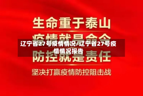 辽宁省27号疫情情况/辽宁省27号疫情情况报告-第2张图片