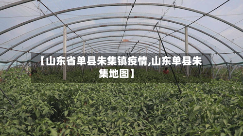 【山东省单县朱集镇疫情,山东单县朱集地图】-第1张图片