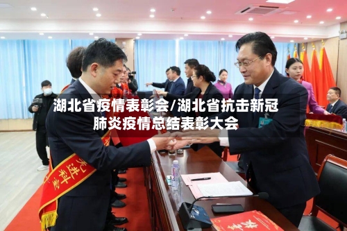 湖北省疫情表彰会/湖北省抗击新冠肺炎疫情总结表彰大会-第1张图片