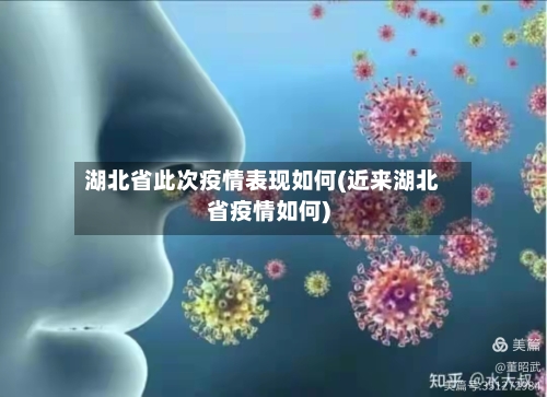 湖北省此次疫情表现如何(近来湖北省疫情如何)-第1张图片