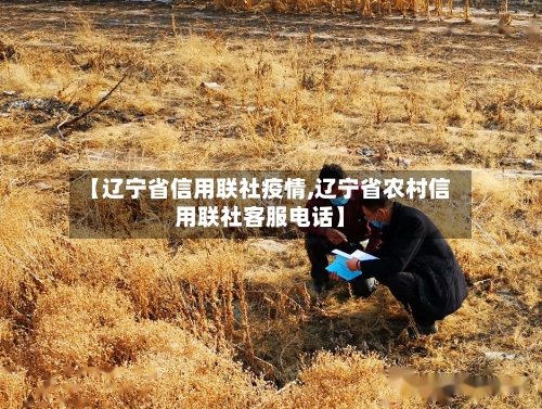 【辽宁省信用联社疫情,辽宁省农村信用联社客服电话】-第1张图片