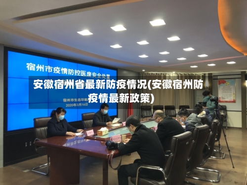 安徽宿州省最新防疫情况(安徽宿州防疫情最新政策)-第2张图片