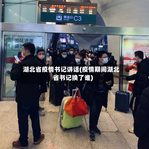 湖北省疫情书记讲话(疫情期间湖北省书记换了谁)-第3张图片