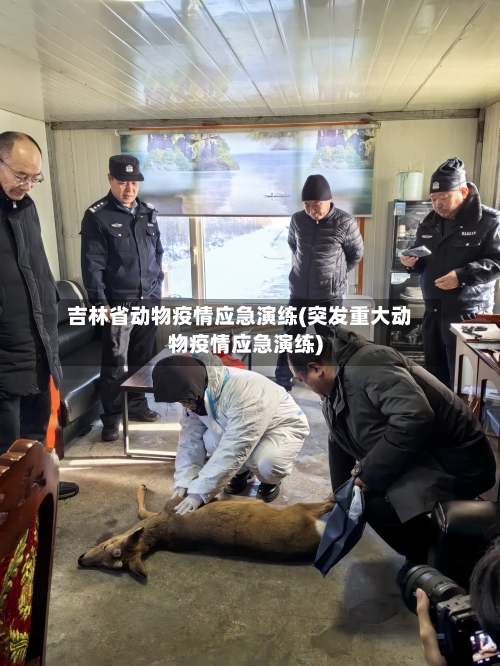 吉林省动物疫情应急演练(突发重大动物疫情应急演练)-第2张图片