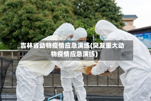 吉林省动物疫情应急演练(突发重大动物疫情应急演练)-第1张图片