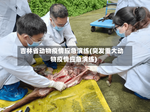 吉林省动物疫情应急演练(突发重大动物疫情应急演练)-第3张图片