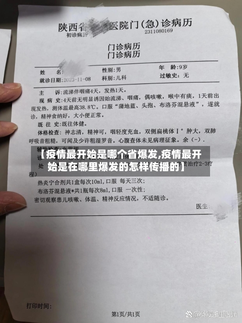 【疫情最开始是哪个省爆发,疫情最开始是在哪里爆发的怎样传播的】-第1张图片