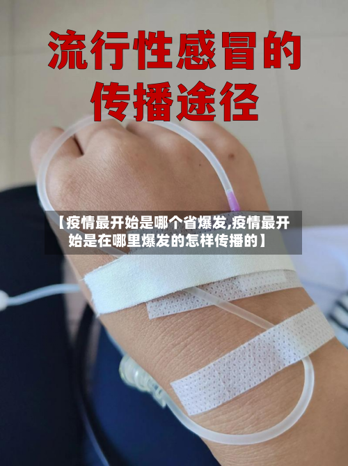 【疫情最开始是哪个省爆发,疫情最开始是在哪里爆发的怎样传播的】-第2张图片