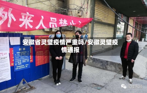 安徽省灵璧疫情严重吗/安徽灵璧疫情通报-第2张图片