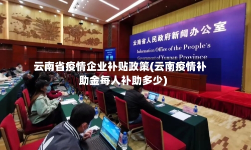 云南省疫情企业补贴政策(云南疫情补助金每人补助多少)-第2张图片