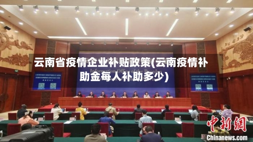 云南省疫情企业补贴政策(云南疫情补助金每人补助多少)-第3张图片