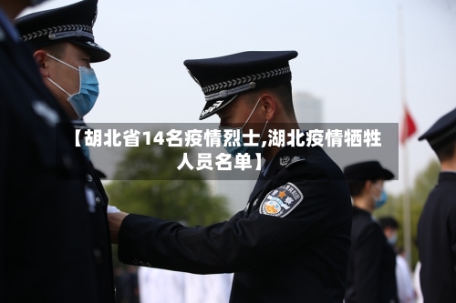【胡北省14名疫情烈士,湖北疫情牺牲人员名单】-第2张图片