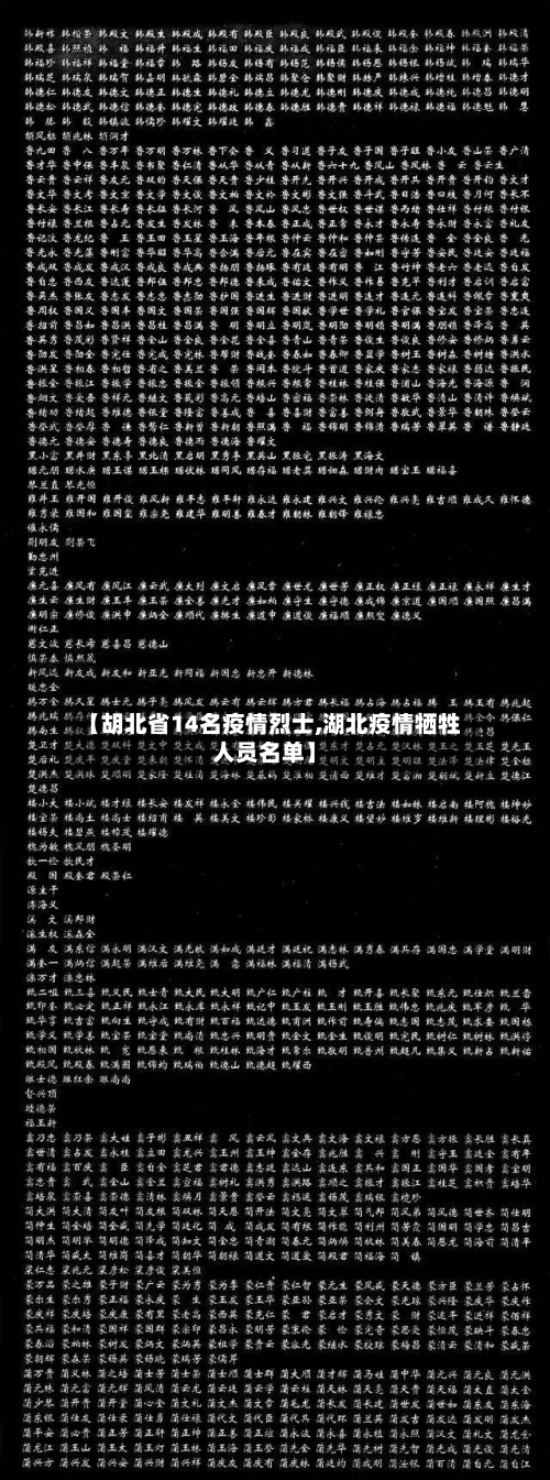【胡北省14名疫情烈士,湖北疫情牺牲人员名单】-第3张图片