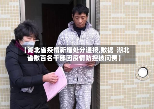 【湖北省疫情新增处分通报,数据  湖北省数百名干部因疫情防控被问责】-第1张图片