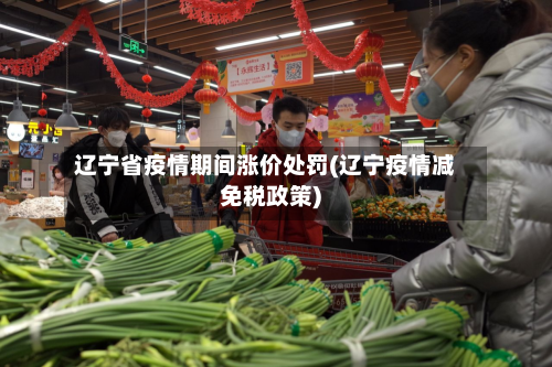 辽宁省疫情期间涨价处罚(辽宁疫情减免税政策)-第3张图片