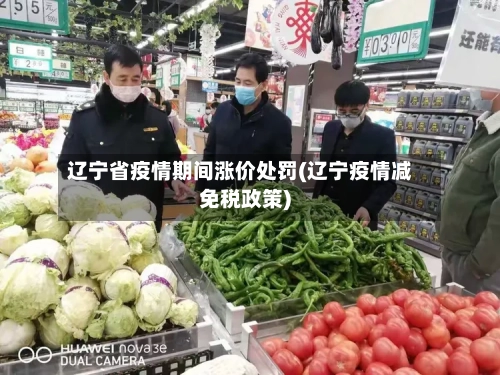 辽宁省疫情期间涨价处罚(辽宁疫情减免税政策)-第1张图片