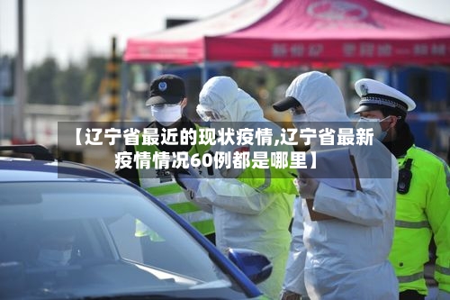 【辽宁省最近的现状疫情,辽宁省最新疫情情况60例都是哪里】-第3张图片