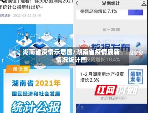 湖南省疫情示意图/湖南省疫情最新情况统计图-第2张图片