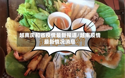 越南庆和省疫情最新报道/越南疫情最新情况消息-第1张图片