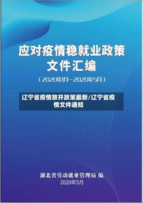 辽宁省疫情放开政策最新/辽宁省疫情文件通知-第1张图片