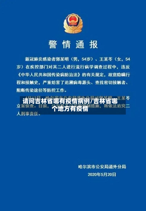 请问吉林省哪有疫情病例/吉林省哪个地方有疫情-第3张图片