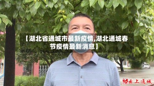 【湖北省通城市最新疫情,湖北通城春节疫情最新消息】-第3张图片
