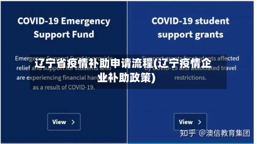 辽宁省疫情补助申请流程(辽宁疫情企业补助政策)-第2张图片