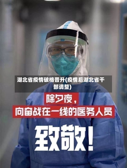 湖北省疫情破格晋升(疫情后湖北省干部调整)-第2张图片
