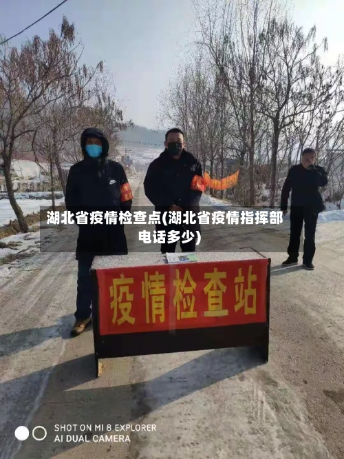 湖北省疫情检查点(湖北省疫情指挥部电话多少)-第3张图片